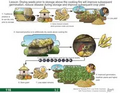 Thumbnail for version as of 14:38, 15 April 2026