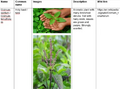 Thumbnail for version as of 14:40, 15 April 2026