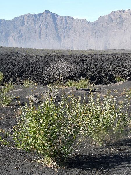 File:20260410180024!540px-Chã das Caldeiras-Pois (1).jpg