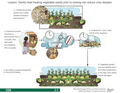 Thumbnail for version as of 14:42, 15 April 2026