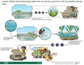 Thumbnail for version as of 14:41, 15 April 2026