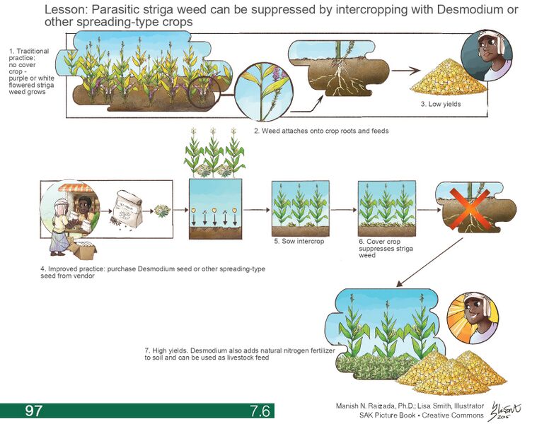 File:7.6 page-0001.jpg