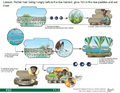 Thumbnail for version as of 14:41, 15 April 2026
