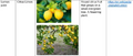 Thumbnail for version as of 14:41, 15 April 2026