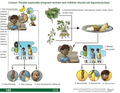 Thumbnail for version as of 14:39, 15 April 2026