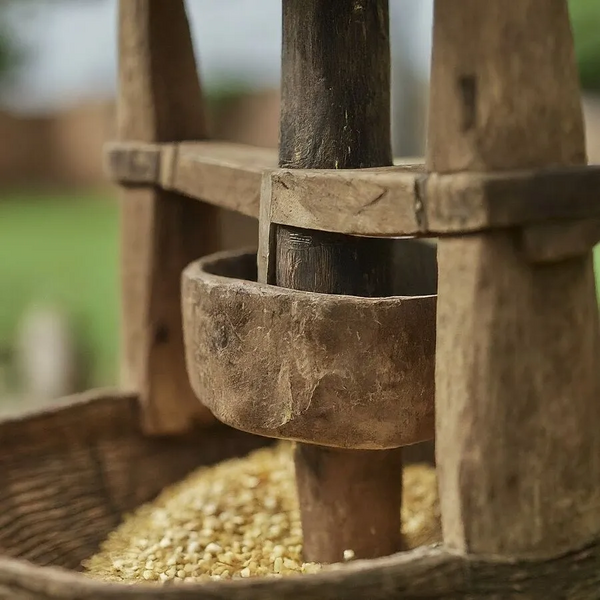 File:900px-Img 5 1.webp