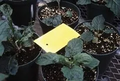 Thumbnail for version as of 14:38, 15 April 2026