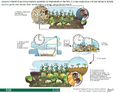 Thumbnail for version as of 14:40, 15 April 2026