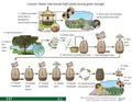 Thumbnail for version as of 14:38, 15 April 2026