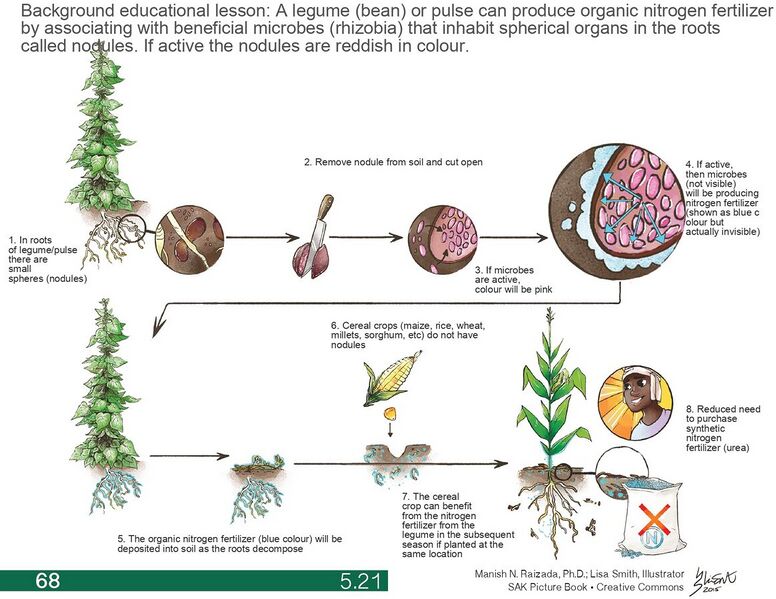 File:1164px-5.21 page-0001.jpg