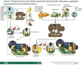 Thumbnail for version as of 14:42, 15 April 2026