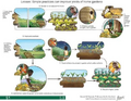 Thumbnail for version as of 14:39, 15 April 2026