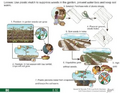 Thumbnail for version as of 14:41, 15 April 2026