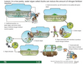 Thumbnail for version as of 14:38, 15 April 2026
