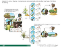 Thumbnail for version as of 14:41, 15 April 2026