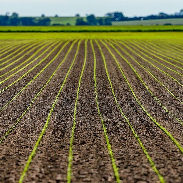 File:900px-Img 7 1.jpeg