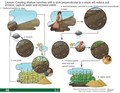 Thumbnail for version as of 14:38, 15 April 2026