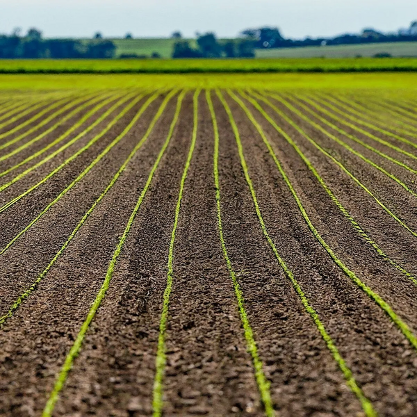 File:1200px-Img 7 1.webp