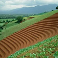 Thumbnail for version as of 14:38, 15 April 2026