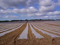 Thumbnail for version as of 14:39, 15 April 2026