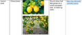 Thumbnail for version as of 14:40, 15 April 2026
