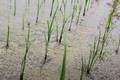 Thumbnail for version as of 14:38, 15 April 2026