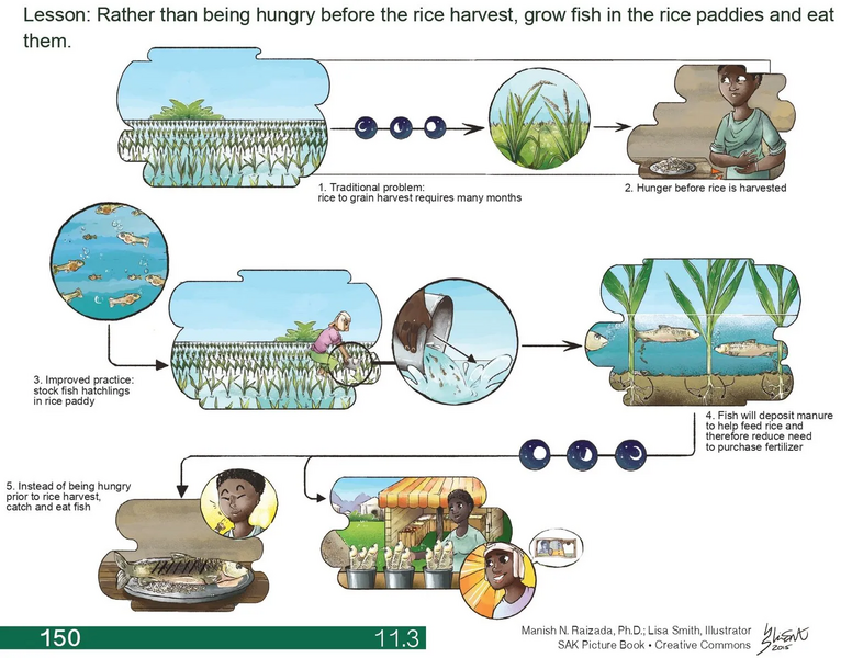 File:1552px-11.3 page-0001.webp