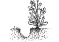 Thumbnail for version as of 14:39, 15 April 2026