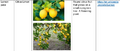 Thumbnail for version as of 14:39, 15 April 2026