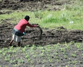 Thumbnail for version as of 14:39, 15 April 2026