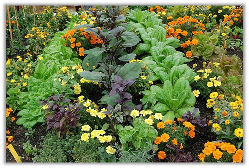 File:1200px-Bag 37.jpg