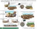 Thumbnail for version as of 14:40, 15 April 2026