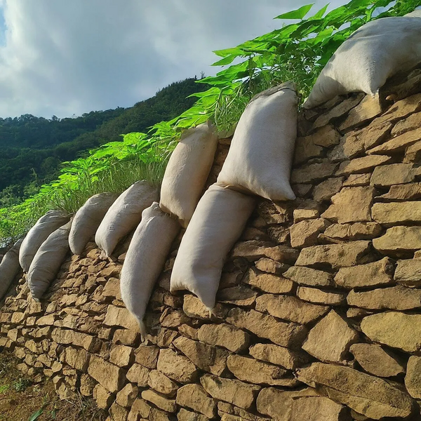 File:1200px-3.1 image.webp