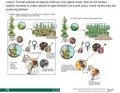 Thumbnail for version as of 14:39, 15 April 2026