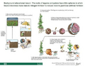 Thumbnail for version as of 14:39, 15 April 2026