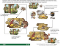 Thumbnail for version as of 14:38, 15 April 2026