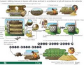 Thumbnail for version as of 14:39, 15 April 2026