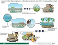 Thumbnail for version as of 14:38, 15 April 2026
