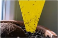 Thumbnail for version as of 14:39, 15 April 2026