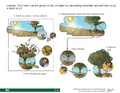Thumbnail for version as of 14:41, 15 April 2026