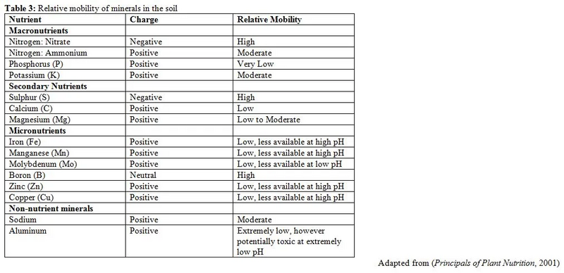 File:Capture 26.webp