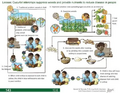 Thumbnail for version as of 14:40, 15 April 2026