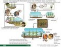 Thumbnail for version as of 14:39, 15 April 2026