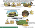 Thumbnail for version as of 14:39, 15 April 2026