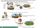 Thumbnail for version as of 14:41, 15 April 2026