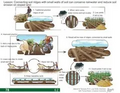 Thumbnail for version as of 14:38, 15 April 2026