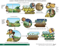 Thumbnail for version as of 14:39, 15 April 2026