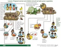 Thumbnail for version as of 14:40, 15 April 2026