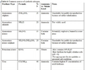 Thumbnail for version as of 14:40, 15 April 2026