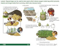 Thumbnail for version as of 14:42, 15 April 2026